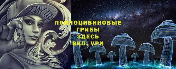 тгк Мегион