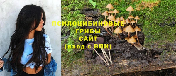 MDMA Медвежьегорск