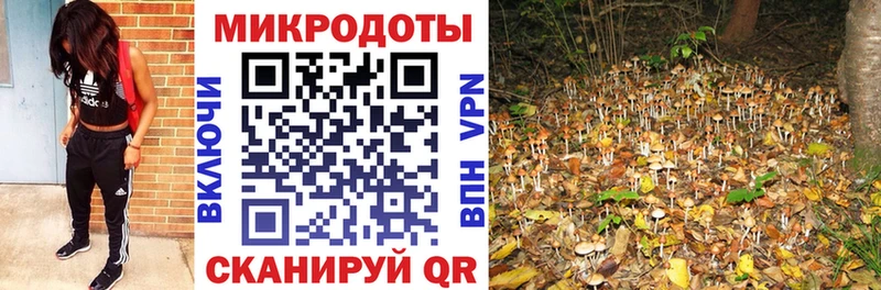 Псилоцибиновые грибы мицелий Нижний Новгород