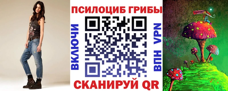 Купить где  Нижний Новгород  Галлюциногенные грибы Magic Shrooms 